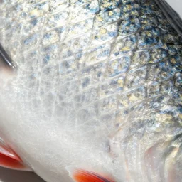 fish texture