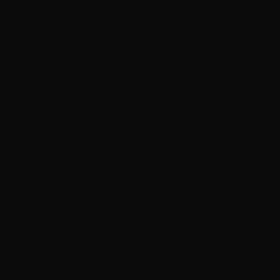 a plain black background