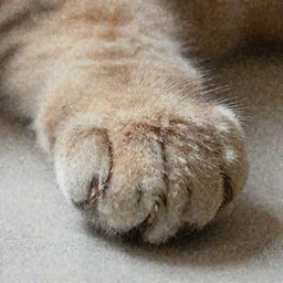 hyperrealistic close up on cat paw, super detailed, sharp details, photorealistic, 4k render
