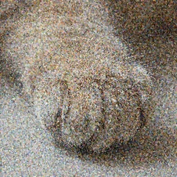 hyperrealistic close up on cat paw, super detailed, sharp details, photorealistic, 4k render