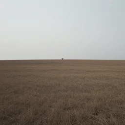 vast, lonely, timeless