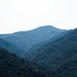 highly detailed hyperrealist digital art white sky and blueish landscape forest mountainous trending on artstation