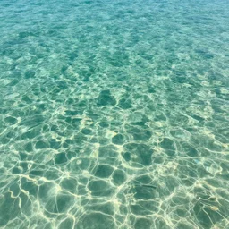 under crystal clear water