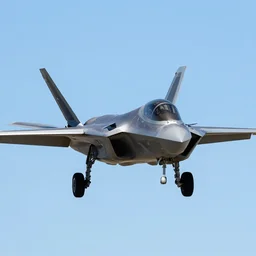 f-22 raptor, battle-scared