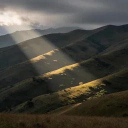photograph by Oliver Rath