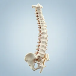 spinal hiccup