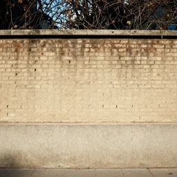 album cover for the wall