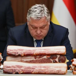 close - up of depressing viktor orban sitting behind a table full of bacon