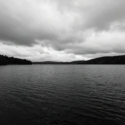 lake with black water
