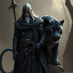 a handsome drow wizard standing with his panther, highly detailed, digital painting, artstation, concept art, smooth, sharp focus, illustration, unreal engine 5, 8 k, art by artgerm and greg rutkowski and alphonse mucha