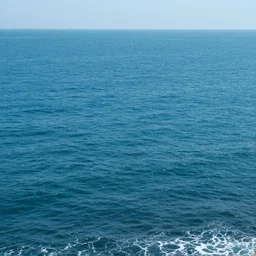ocean backdrop