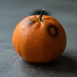 a depressed tangerine with ptsd