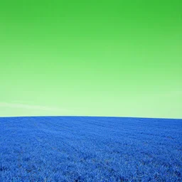 green sky and blue fields