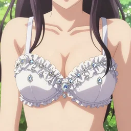 Worksafe. Close-up a princess wearing bra with many frills and diamonds, by krenz cushart and makoto shinkai