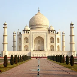 taj mahal built with sticks