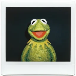 a polaroid photo of kermit