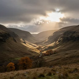 autumn light in a glen affrica