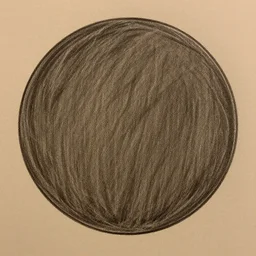 draw a circle for me please then finish it
