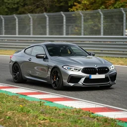 a 2 0 1 8 bmw m 8 gte driving on a race track