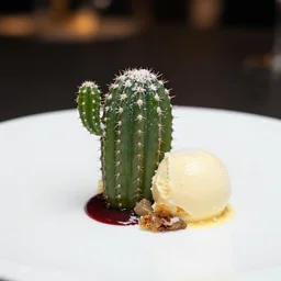 a fine dining dessert plate of spiky chocolate green cactus and ice cream, sugar sprinkled, food photography, michelin star, fine dining, bokeh