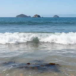 small perfect wave breaking in shallow clear water directly in front of viewer, hollister ranch, offshore winds, kelp, islands on horizon