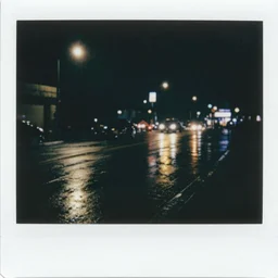 polaroid of a night, silhouettes, threes, rain, reflection, double exposure, high contrast