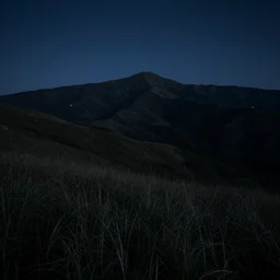 mountainous night dark grass landscape