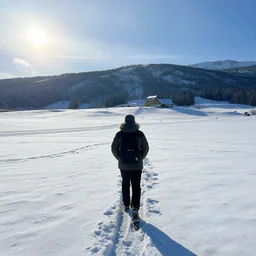 for merely dreaming we were snow