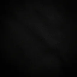 a pure black image