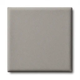 a texture from poliigon.com