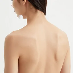 lexica ligula likuta limina lingua lipoma lithia lochia loggia lorcha