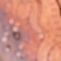 blurry texture pattern