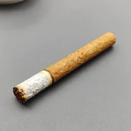 picture of a barbecued cigarette