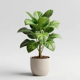 houseplant, octane render, 4 k, detailed
