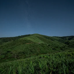 lush landscape on a starry sky, wideshot, hdr, 4 k