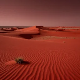 photography of the most beautiful place on mars, red desert, red light, photorealistic, ultra detailed, sharp