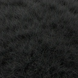 dark grass from the top texture material, high definition, high detail, 8k, photorealistic