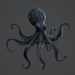 abstract black octopus, 3D object, octane rendering