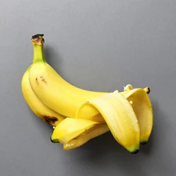 punk rock bananas