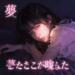夢にみたことが叶った