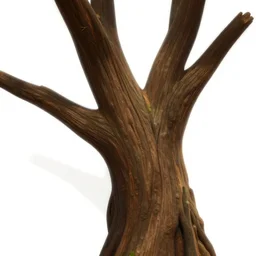 tree branch texture, stylized, riot games textures, white background, white background