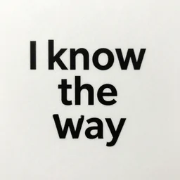 follow me, i know the way, concept artwork