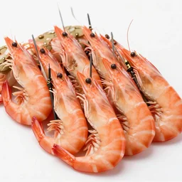 cooked shrimp marching in formation, with bayonets, army uniforms