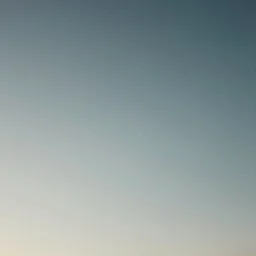 a photo of nothing