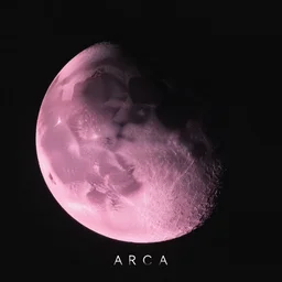 black and pink moon arca, sophie album cover