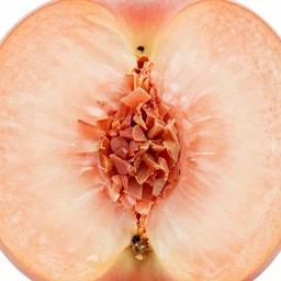 flat half peach texture from photo, fruit, detailed, realistic, 4 k,
