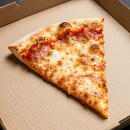 A pizza slice