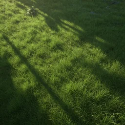 videogame grass texture without perspective