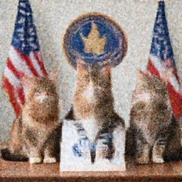 a presidential election of cats, realistic 4k