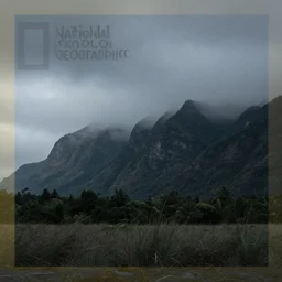 national geographic photo of gloom